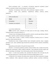 Projekto rizika, jos kompiuterinės komunikacijos valdymo galimybės 7 puslapis