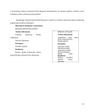 Projekto rizika, jos kompiuterinės komunikacijos valdymo galimybės 10 puslapis