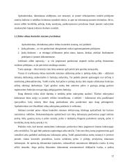 Įmonės X pelno apmokestinimo ir paskirstymo analizė 12 puslapis