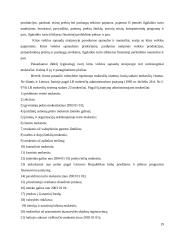 Įmonės X pelno apmokestinimo ir paskirstymo analizė 19 puslapis