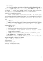 Įmonės X pelno apmokestinimo ir paskirstymo analizė 3 puslapis