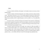 Individualios veiklos apmokestinimas 2 puslapis