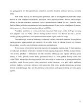 Individualios veiklos apmokestinimas 11 puslapis