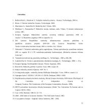 Individualios veiklos apmokestinimas 12 puslapis