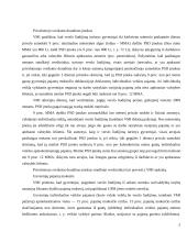 Individualios veiklos apmokestinimas 5 puslapis