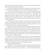 Individualios veiklos apmokestinimas 6 puslapis