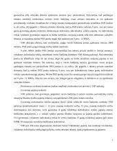 Individualios veiklos apmokestinimas 7 puslapis