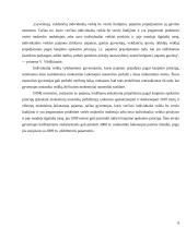 Individualios veiklos apmokestinimas 8 puslapis