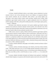 Individualios veiklos apmokestinimas 9 puslapis