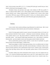 Individualios veiklos apmokestinimas 10 puslapis