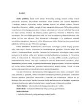 Informacinių technologijų panaudojimas ir e-valdžia 2 puslapis