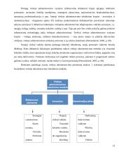 Informacinių technologijų panaudojimas ir e-valdžia 13 puslapis