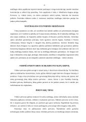 Interjero dekoravimas 11 puslapis