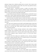 Interjero dekoravimas 12 puslapis