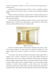 Interjero dekoravimas 13 puslapis