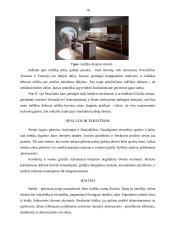 Interjero dekoravimas 16 puslapis