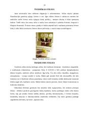 Interjero dekoravimas 20 puslapis