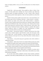 Interjero dekoravimas 3 puslapis