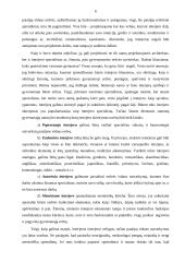 Interjero dekoravimas 6 puslapis