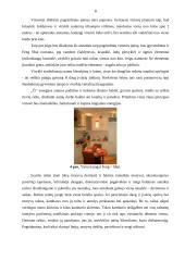 Interjero dekoravimas 8 puslapis