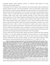 Krovinių vežimo sutarties sudarymas 3 puslapis