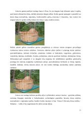 Kaimo turizmo sodybos "Palaima" veiklos planas 11 puslapis