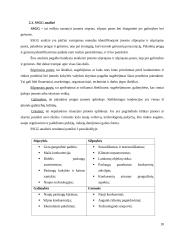 Kaimo turizmo sodybos "Palaima" veiklos planas 18 puslapis