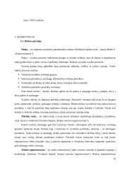 Kaimo turizmo sodybos "Palaima" veiklos planas 19 puslapis