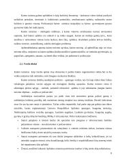 Kaimo turizmo sodybos "Palaima" veiklos planas 8 puslapis