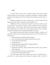 Kelių transporto technologija 3 puslapis