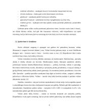 Kelių transporto technologija 8 puslapis