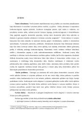 Kompleksinio verslo steigimo ir vystymo Lietuvoje Airijos pavyzdžiu galimybės 2 puslapis