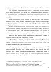 Kompleksinio verslo steigimo ir vystymo Lietuvoje Airijos pavyzdžiu galimybės 12 puslapis