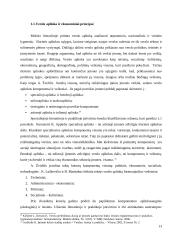 Kompleksinio verslo steigimo ir vystymo Lietuvoje Airijos pavyzdžiu galimybės 13 puslapis