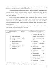 Kompleksinio verslo steigimo ir vystymo Lietuvoje Airijos pavyzdžiu galimybės 15 puslapis