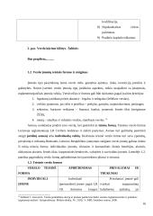 Kompleksinio verslo steigimo ir vystymo Lietuvoje Airijos pavyzdžiu galimybės 16 puslapis