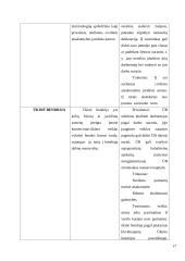 Kompleksinio verslo steigimo ir vystymo Lietuvoje Airijos pavyzdžiu galimybės 17 puslapis
