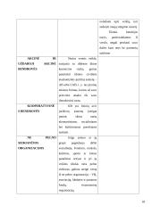 Kompleksinio verslo steigimo ir vystymo Lietuvoje Airijos pavyzdžiu galimybės 18 puslapis