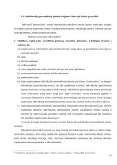 Kompleksinio verslo steigimo ir vystymo Lietuvoje Airijos pavyzdžiu galimybės 19 puslapis