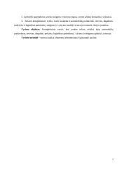 Kompleksinio verslo steigimo ir vystymo Lietuvoje Airijos pavyzdžiu galimybės 3 puslapis