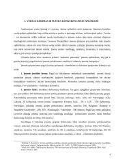 Kompleksinio verslo steigimo ir vystymo Lietuvoje Airijos pavyzdžiu galimybės 4 puslapis