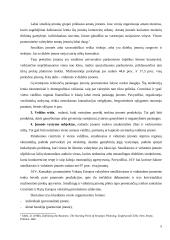 Kompleksinio verslo steigimo ir vystymo Lietuvoje Airijos pavyzdžiu galimybės 5 puslapis