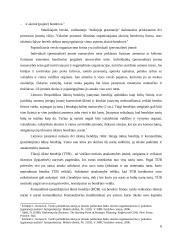 Kompleksinio verslo steigimo ir vystymo Lietuvoje Airijos pavyzdžiu galimybės 6 puslapis