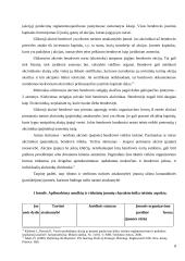 Kompleksinio verslo steigimo ir vystymo Lietuvoje Airijos pavyzdžiu galimybės 8 puslapis