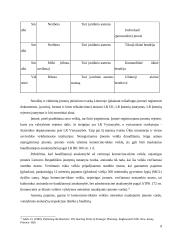 Kompleksinio verslo steigimo ir vystymo Lietuvoje Airijos pavyzdžiu galimybės 9 puslapis