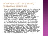 Kompleksinio verslo steigimo ir vystymo Lietuvoje Airijos pristatymas 13 puslapis