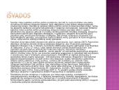 Kompleksinio verslo steigimo ir vystymo Lietuvoje Airijos pristatymas 15 puslapis