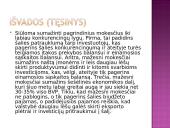 Kompleksinio verslo steigimo ir vystymo Lietuvoje Airijos pristatymas 16 puslapis