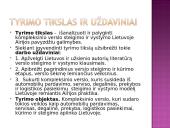 Kompleksinio verslo steigimo ir vystymo Lietuvoje Airijos pristatymas 4 puslapis