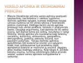 Kompleksinio verslo steigimo ir vystymo Lietuvoje Airijos pristatymas 6 puslapis